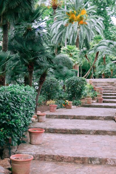 Clay pots decorating aged stone stairs surrounding by lush green tropical plants and trees in Jardines de Alfabia garden