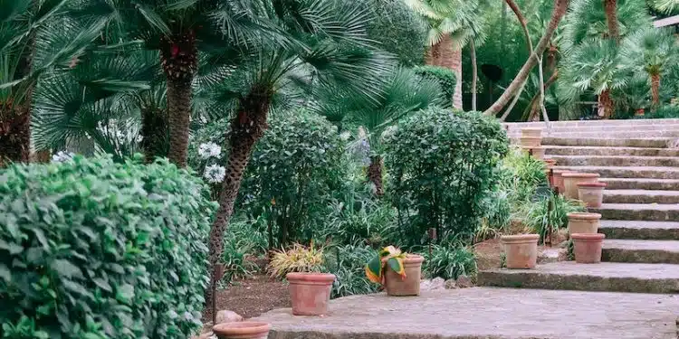 Clay pots decorating aged stone stairs surrounding by lush green tropical plants and trees in Jardines de Alfabia garden