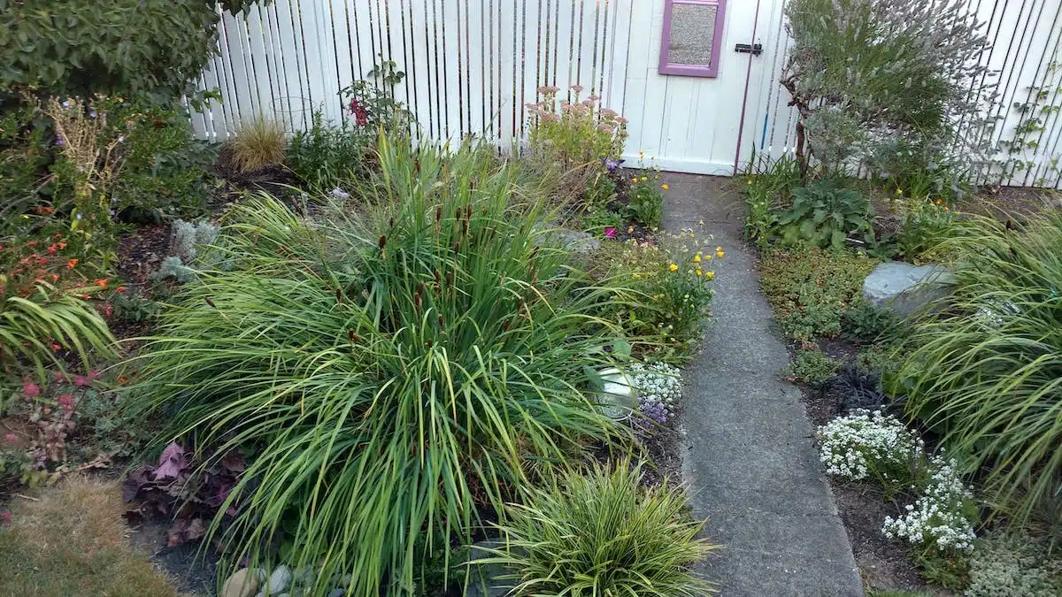 jardin bord-mer