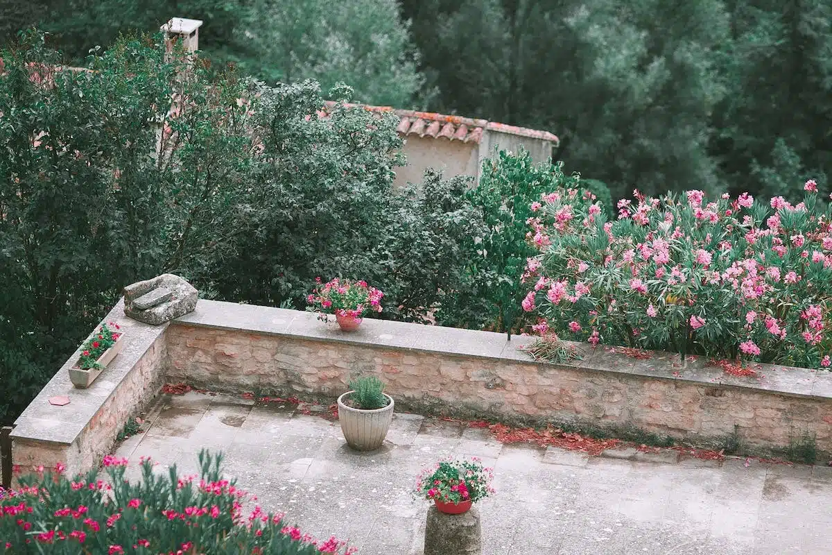 jardin design