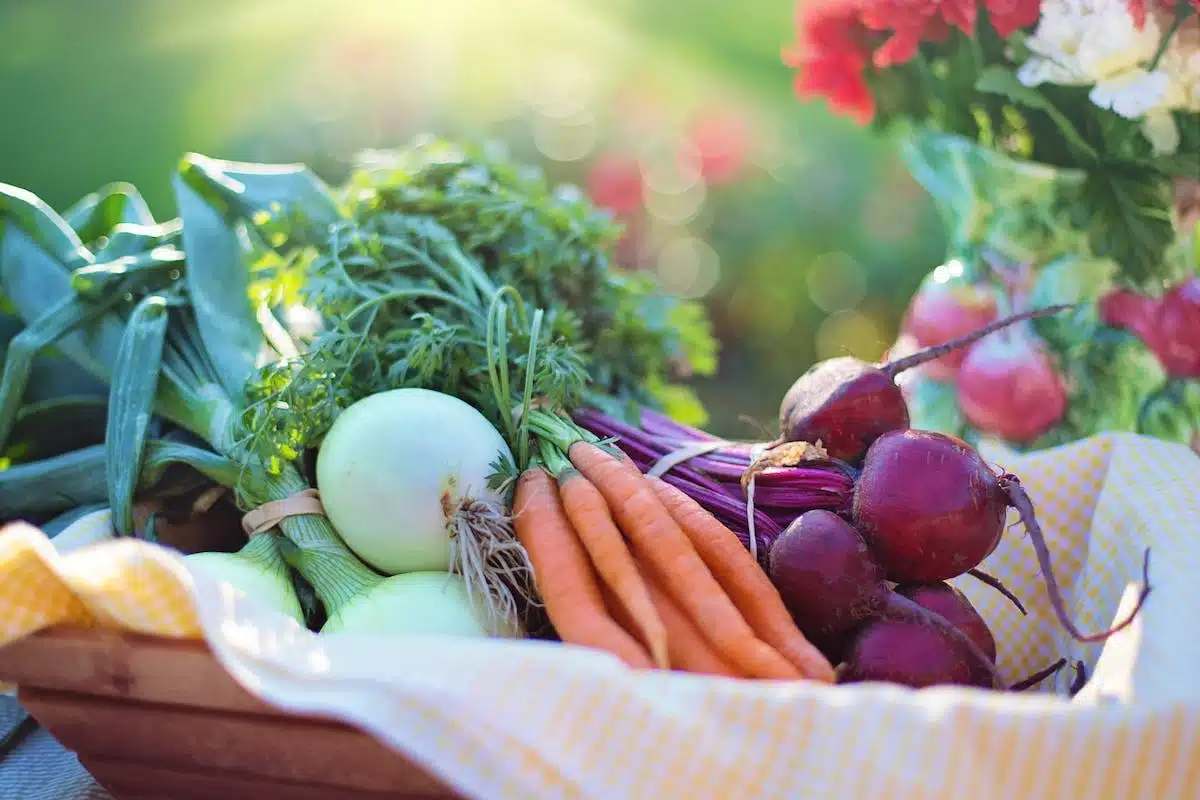 potager bio