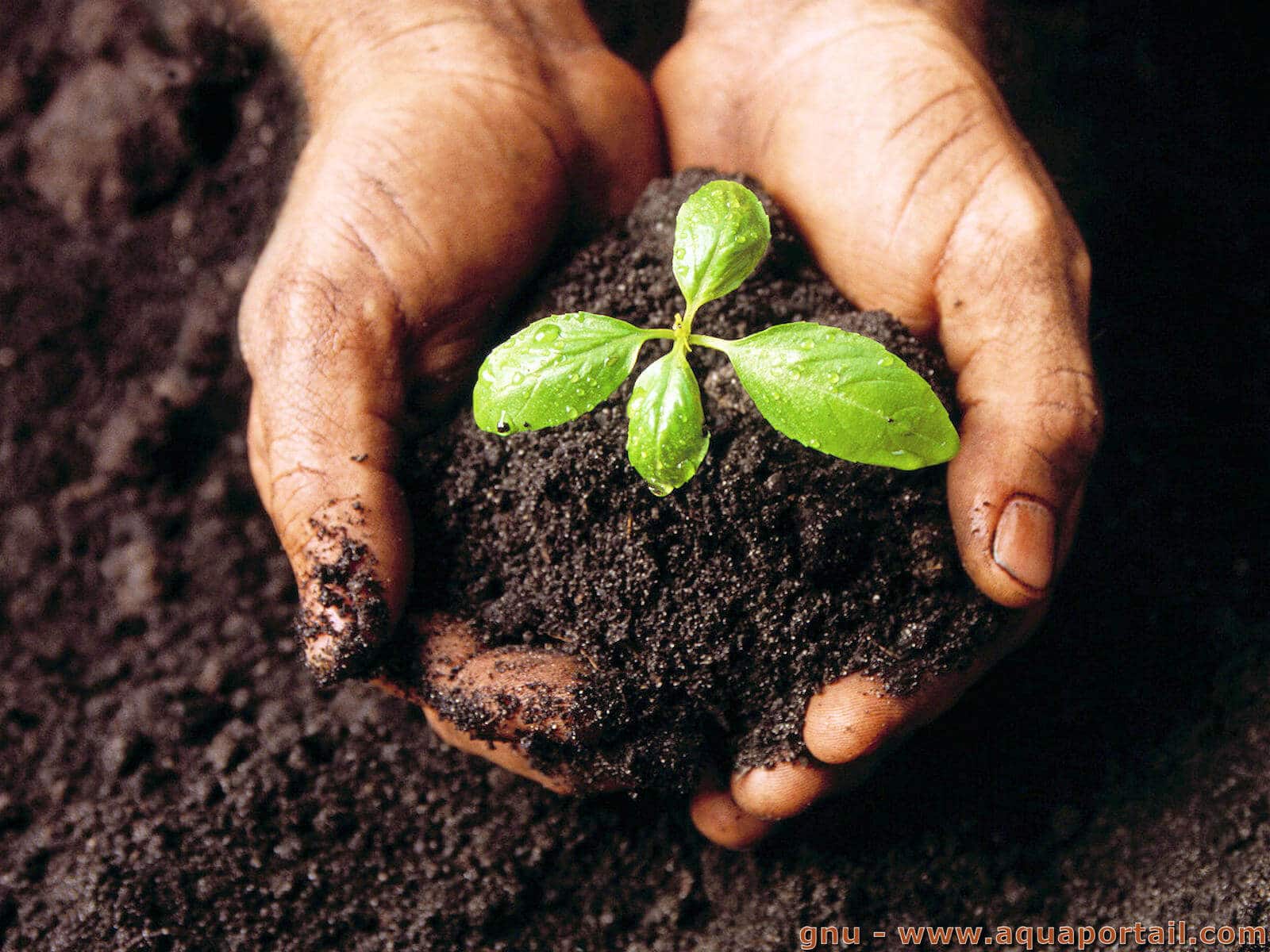 Comment rendre un sol fertile ?